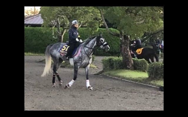 【天皇賞・秋】アエロリット 牡馬一線級に交じってもヒケを取らず