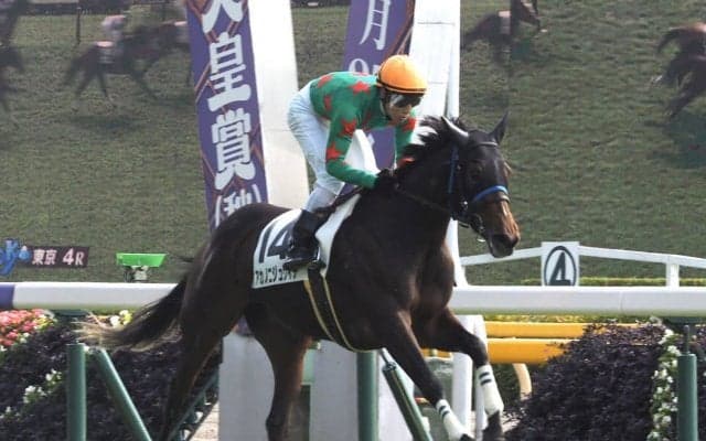 【新馬/東京4R】上がり32.9！アカノニジュウイチが完勝