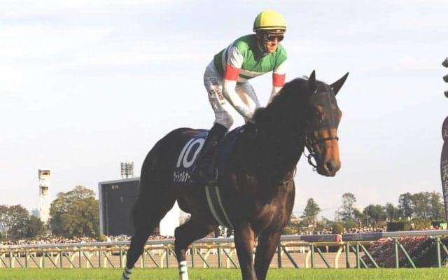 【天皇賞・秋】スミヨン「自分だけが引っ張っている状態…」サートゥルナーリアは6着敗退