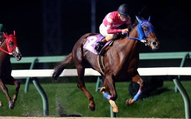 【盛岡・知床賞】アクアリーブルが勝利！