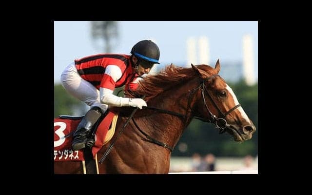 アルゼンチン共和国杯は過去の激走３パターンに合致した３頭で勝負だ