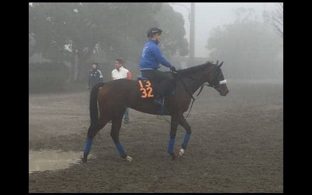 【ファンタジーS】マジックキャッスル 国枝師「素晴らしい仕上がり」