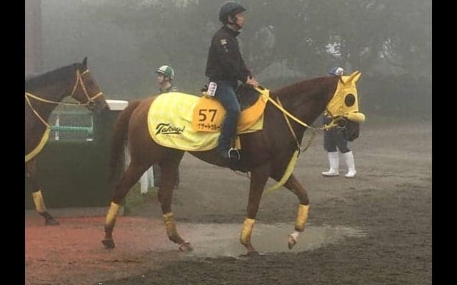 【みやこS】アナザートゥルース 1800m戦で全6勝