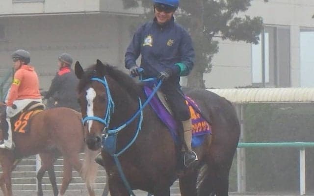 【アルゼンチン共和国杯】オジュウチョウサン 和田郎師「松岡騎手が思い切った競馬をしてくれれば」
