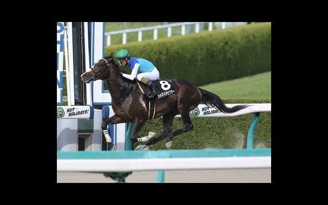 穴党記者が占うみやこＳ。王者インティに一発かますのはこの４頭だ