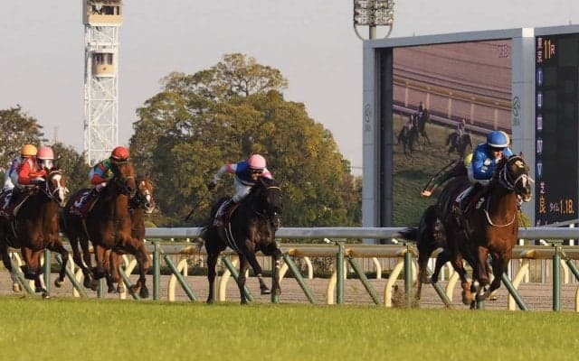 【京王杯2歳S】スミヨン「オープンくらいなら通用する」レース後ジョッキーコメント