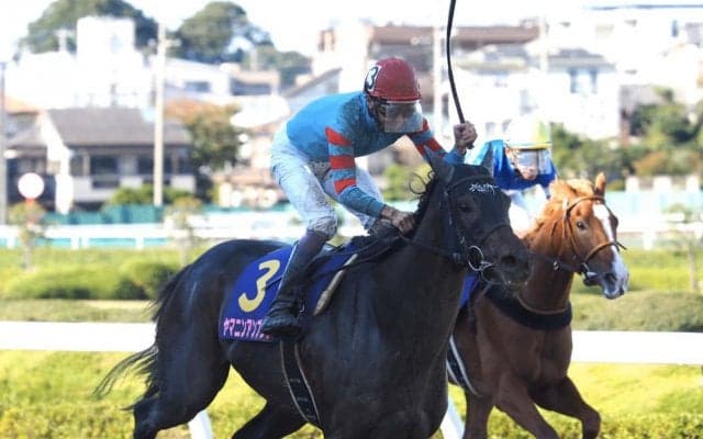 【JBCレディスクラシック】ヤマニンアンプリメがV！武豊は交流G1完全制覇