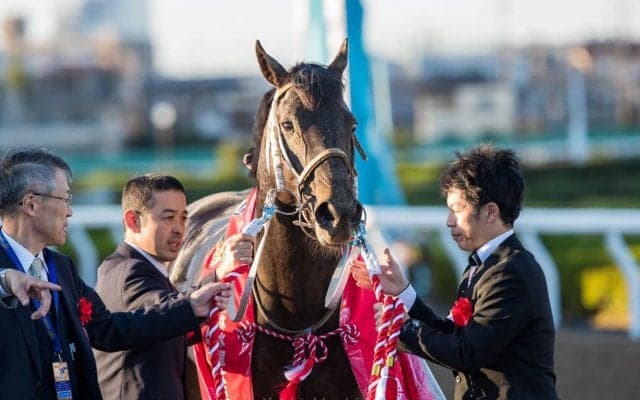 【JBCクラシック】川田「ダート界のトップクラス」チュウワウィザードが初G1V！