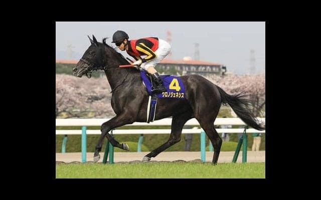 エリザベス女王杯は４歳馬が手薄。勢いのある３歳馬でより有力なのは？