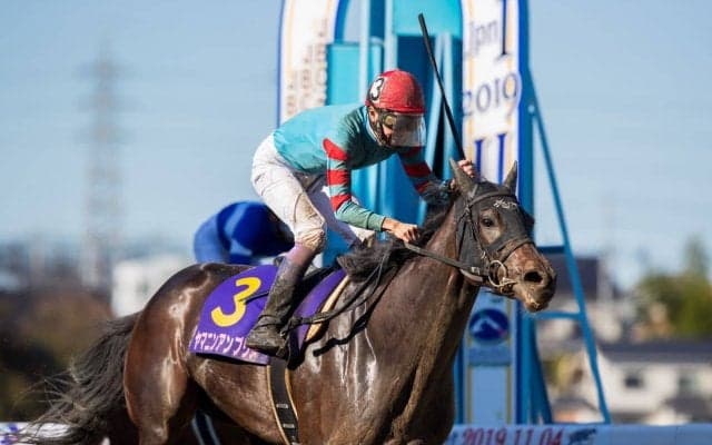 【武豊日記】JBC完全制覇