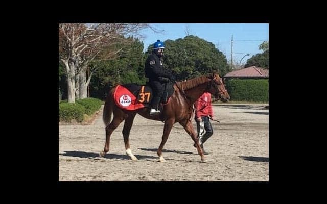 【デイリー杯2歳S】ウイングレイテスト 青木師「重賞でも楽しみ」