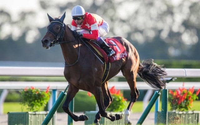 【デイリー杯2歳S】武豊騎乗 レッドベルジュールが最内強襲！重賞初V