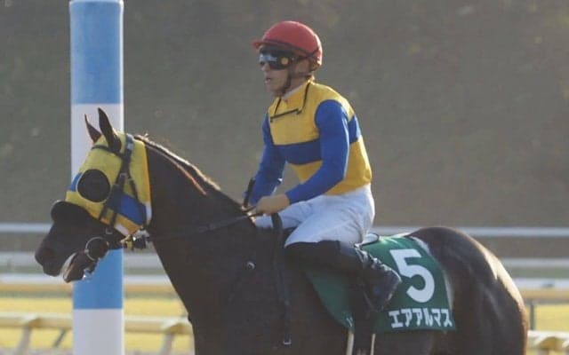 【武蔵野S】川田「内枠が…」エアアルマスは見せ場なく11着敗退