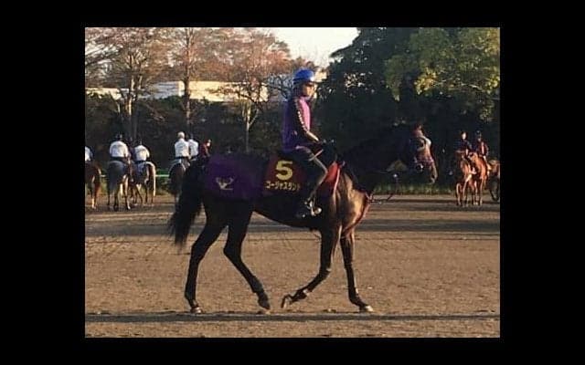 【エリザベス女王杯】ゴージャスランチ 鹿戸師「体調の良さを生かして」