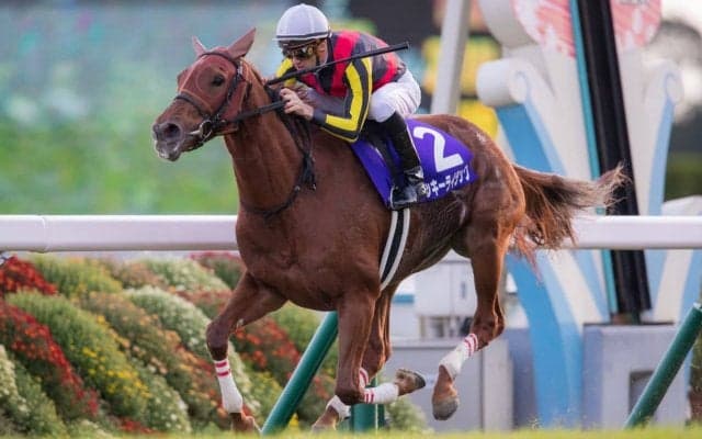 【エリザベス女王杯】スミヨンマジック炸裂！ラッキーライラックが最内強襲で復活の勝利