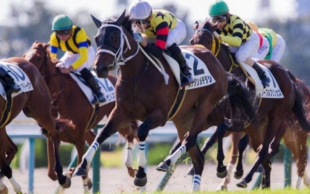 【新馬/京都4R】9番人気メデタシメデタシがデビュー勝ち！