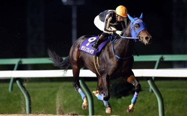 【盛岡・南部駒賞】北海道のモリノブレイクが快勝