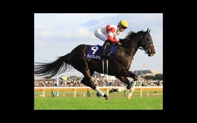 マイルCSはディープ産駒２頭に期待。「過去最強」マイラーが本領発揮する