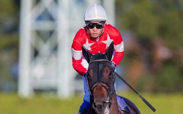 【武豊日記】いい競馬が続きます