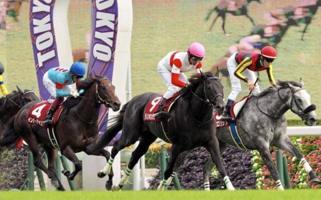 【マイルCS】枠順と見どころ ダノンキングリーは1枠1番