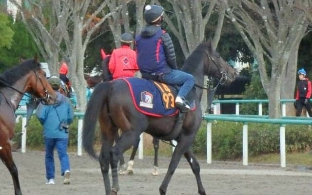 【東スポ杯2歳S】リグージェ 木村師「不安はない」
