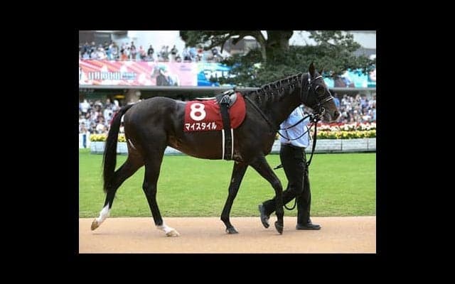 マイルCSの歴史、舞台、展開…を読み切った穴党記者が推す３頭の穴馬