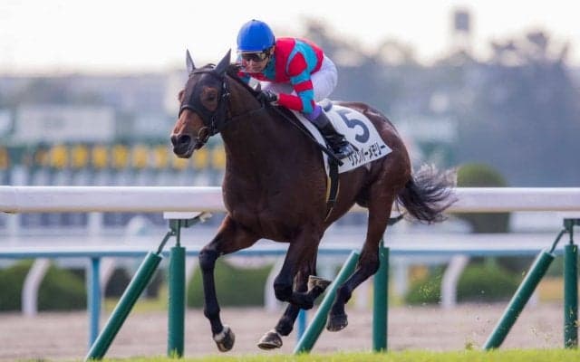 【京都4R】武豊 リメンバーメモリーが初勝利！