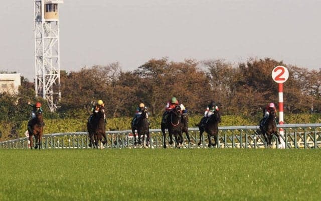 【東スポ杯2歳S】ビュイック「適性の差」レース後ジョッキーコメント