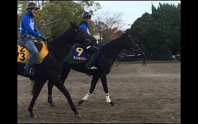 【マイルCS】ダノンキングリー 萩原師「マイル適性は非常にある」