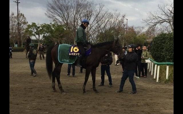 【マイルCS】レイエンダ 兄弟G1制覇の偉業なるか