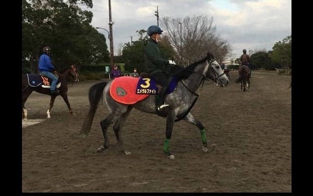 【マイルCS】エメラルファイト 相沢師「前走よりも脚を溜めるような…」