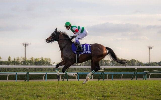 【マイルCS】武豊「ゴール前の不利が…」13人気カテドラルは6着