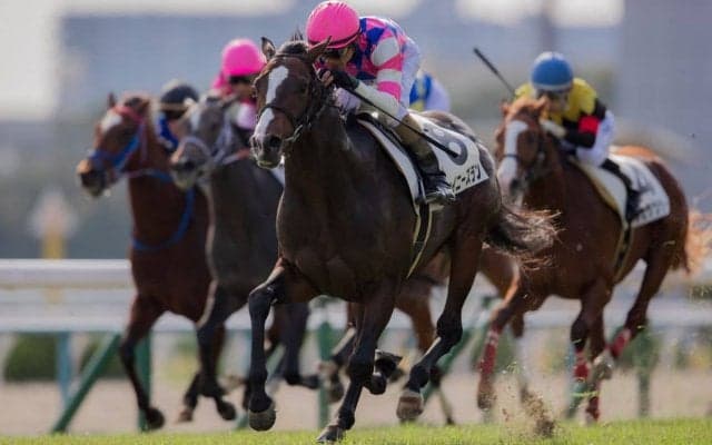 【新馬/京都6R】キンシャサノキセキ産駒 シャイニーズランがデビュー勝ち！