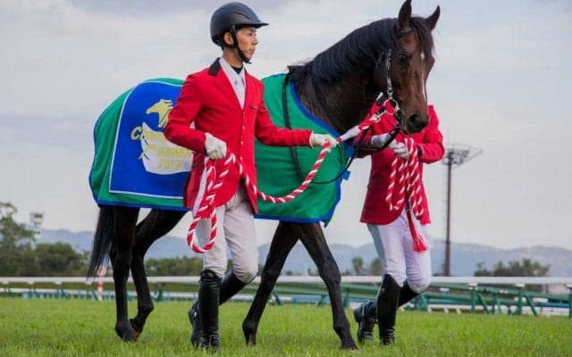 【マイルCS】川田「申し訳ないです」レース後ジョッキーコメント