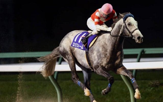 【盛岡・絆カップ】圧倒的１番人気に応えてロジストームが完勝！岩手マイル王の座は万全!!