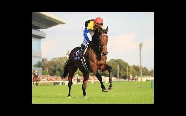 外国馬がいないジャパンＣ。実績薄いが成長著しい４歳馬２頭に期待