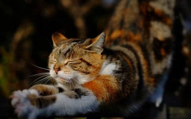 カラダの硬い人に絶対必要な女性が大好きなモノとは？