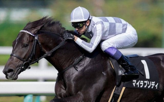 【武豊日記】ボクにとっての大一番