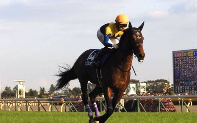 【ジャパンC】枠順と見どころ ワグネリアンは2枠2番 デットーリが来日