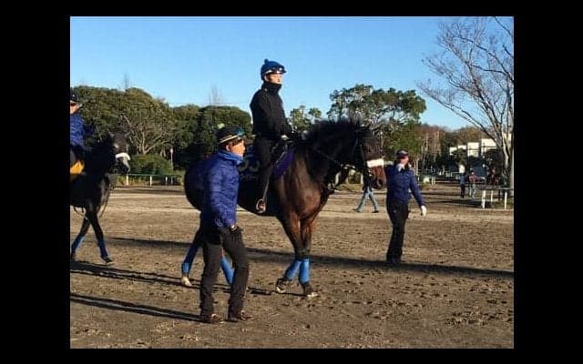 【ジャパンC】カレンブーケドール 国枝師「斤量は恵まれてる」