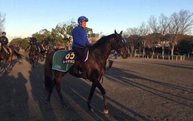 【ジャパンC】レイデオロ 藤沢和師「久しぶりにいい状態」