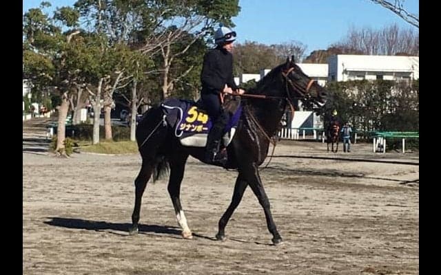 【ジャパンC】ジナンボー ムーア「進化が必要」