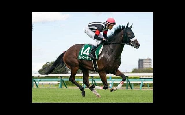 ジャパンＣは世界の名手が集うも、狙いは主戦の日本人騎手鞍上の２頭