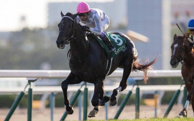 【京都2歳S】武豊マイラプソディが断然の人気に応えて無傷の3連勝！