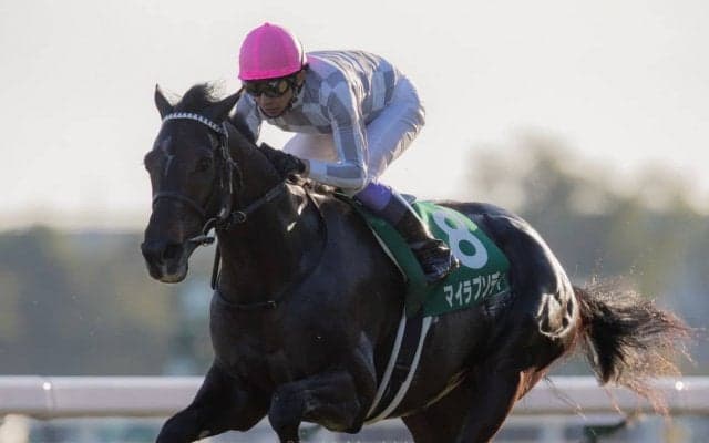 【京都2歳S】武豊「今後に繋がるレースは出来た」マイラプソディが無傷の3連勝！