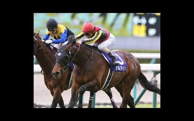 「クラシックに乗せたい」池江厩舎が絶大な期待を寄せるヒメノカリス