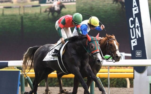 【東京3R】オルフェーヴル産駒 マイネルミンドールが初勝利！