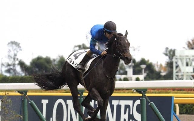 【新馬/東京5R】ディープ産駒 バルトリが抜け出して快勝！