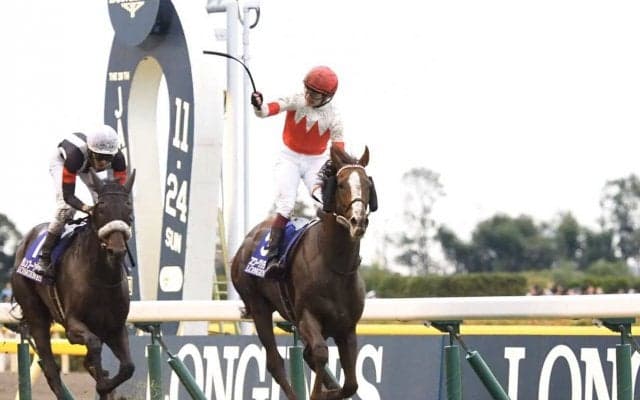 【ジャパンC】スワーヴリチャードが復活の勝利！強豪撃破