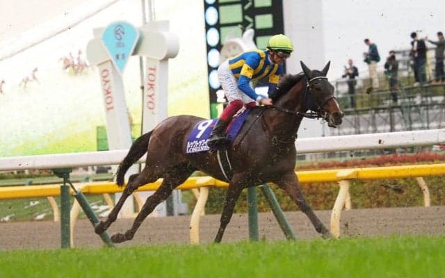 【ジャパンC】デットーリ「重い馬場が合いませんでした」ルックトゥワイスは見せ場なく敗退